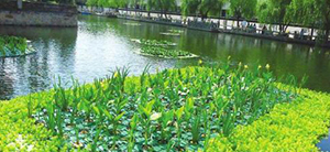 我公司想上一個(gè)污水處理項(xiàng)目，制訂技術(shù)方案時(shí)需要提供哪些資料？