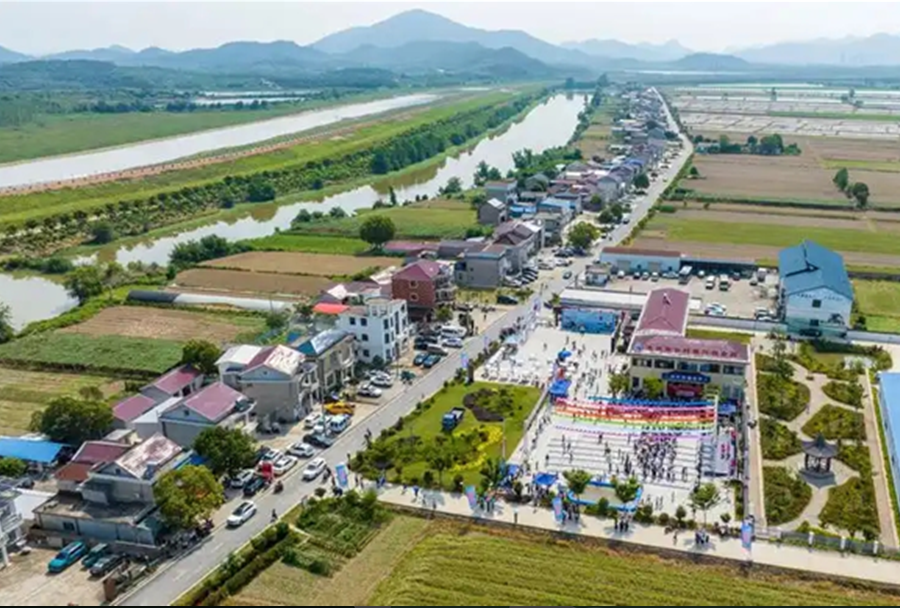 七網(wǎng)融合、五水共治 、治出鄉(xiāng)村振興新畫(huà)卷