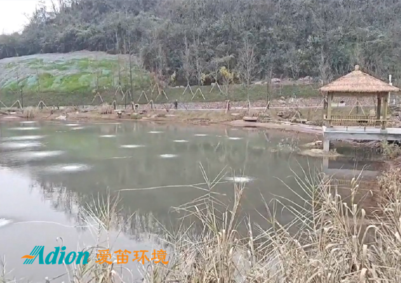 愛笛為重慶鐘家溝河道治理項目提供設(shè)備